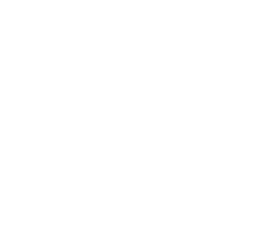 Full Time Bionic Radio